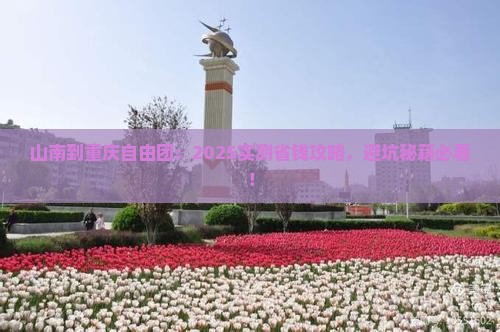 山南到重庆自由团