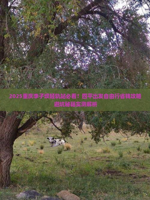 四平去重庆李子坝轻轨站自由行