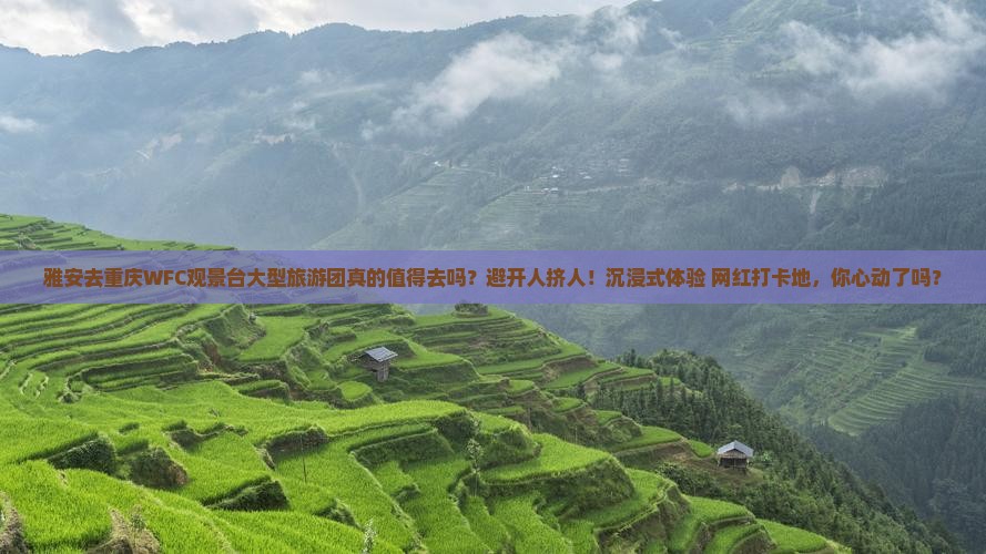 雅安去重庆wfc观景台大型旅游团