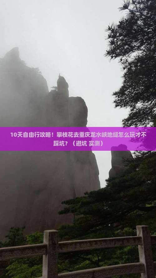 攀枝花去重庆龙水峡地缝自由行