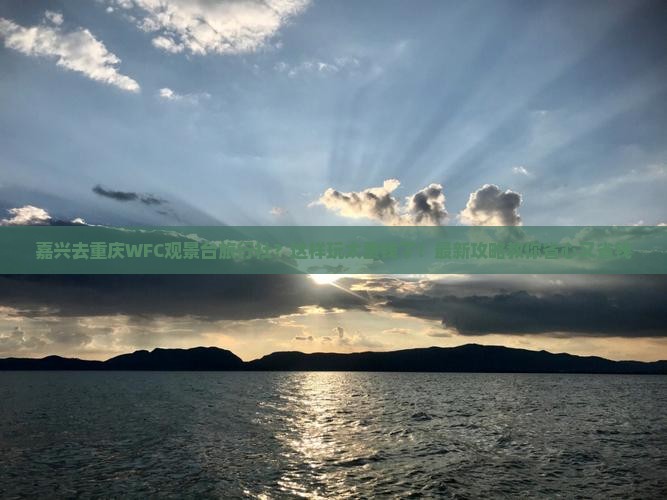 嘉兴去重庆wfc观景台旅行社