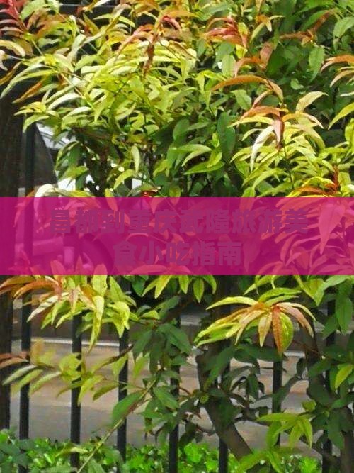 昌都去重庆武隆旅游小吃