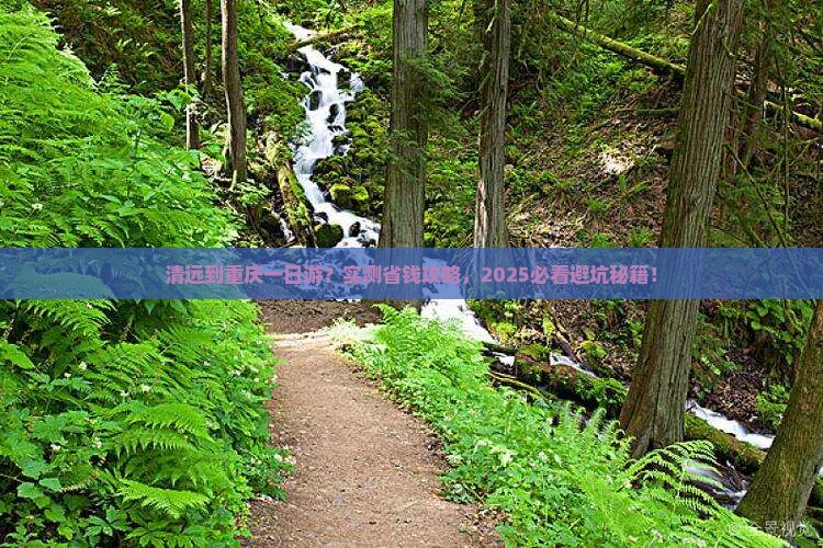 清远到重庆一日