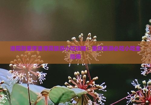 洛阳到重庆渣滓洞旅游小吃