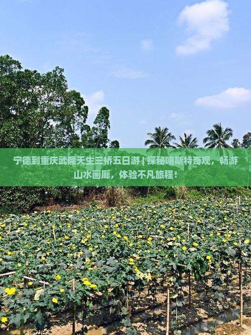 宁德到重庆武隆天生三桥五日游