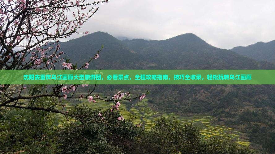 沈阳去重庆乌江画廊大型旅游团