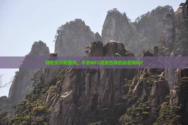 呼伦贝尔到重庆wfc观景台必去地