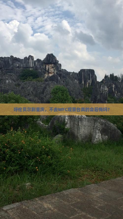 呼伦贝尔到重庆wfc观景台必去地