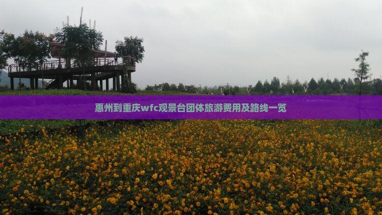 惠州到重庆wfc观景台团体旅游