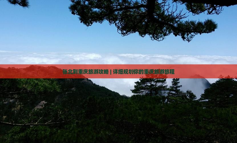 张北到重庆旅游
