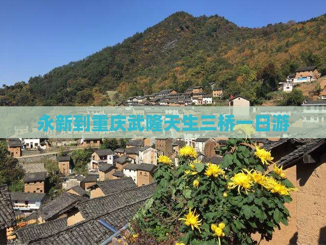 永新到重庆武隆天生三桥一日