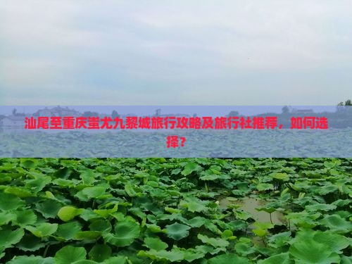 汕尾到重庆蚩尤九黎城旅行社