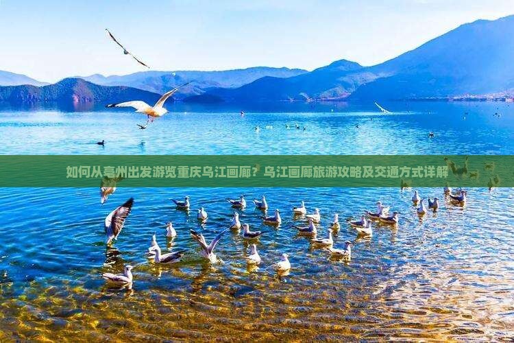 亳州去重庆乌江画廊旅游