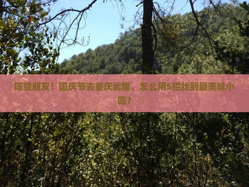 国庆节去重庆武隆旅游小吃