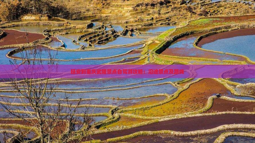 延安到重庆武隆景点