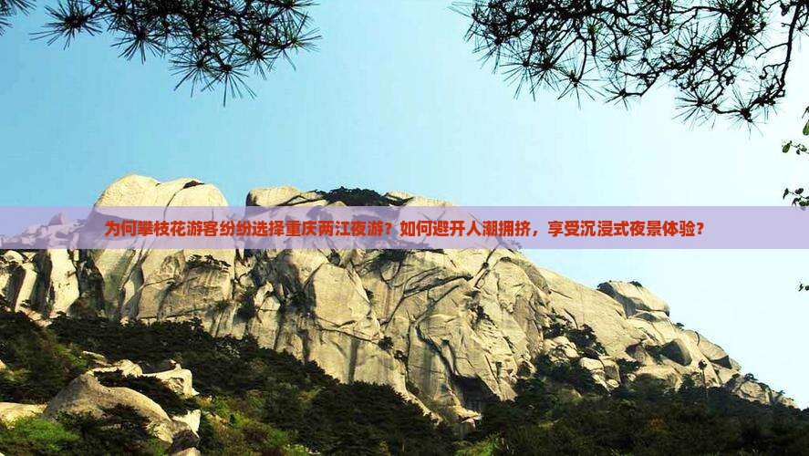 攀枝花到重庆两江夜游旅游