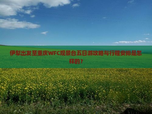 伊犁去重庆wfc观景台五日游