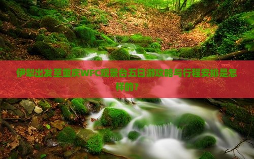 伊犁去重庆wfc观景台五日游