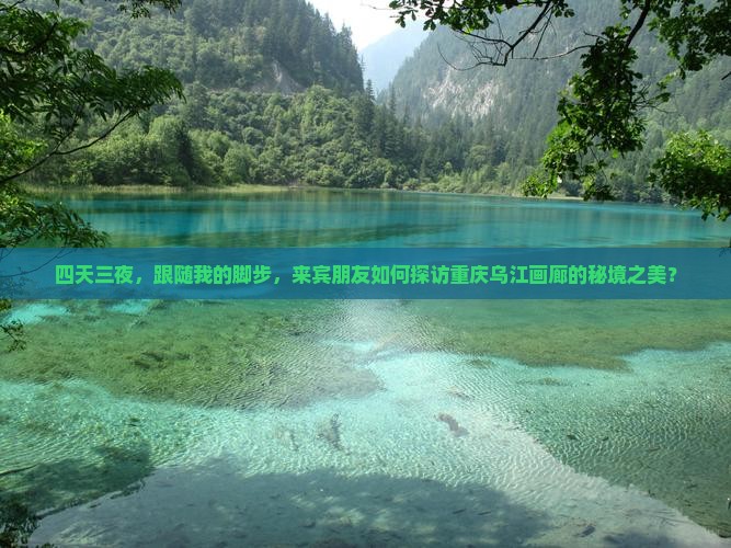 来宾到重庆乌江画廊四日游