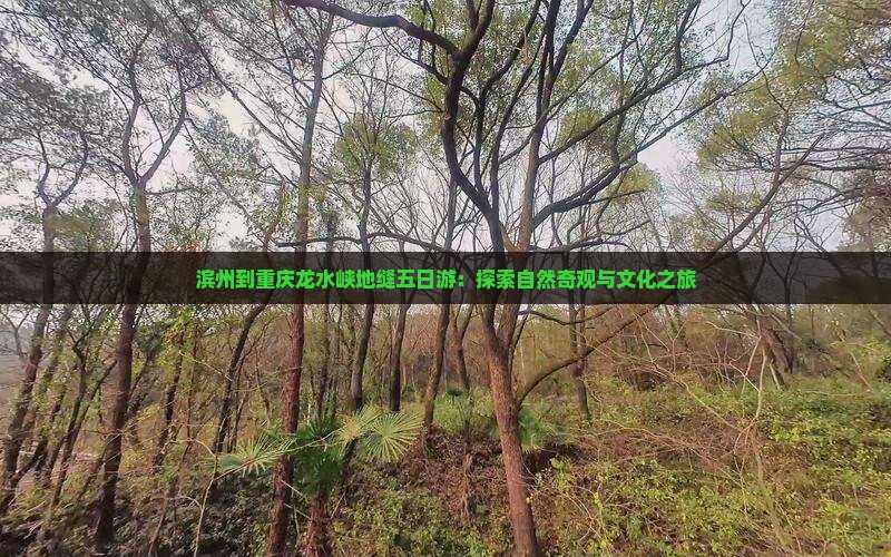 滨州到重庆龙水峡地缝五日游