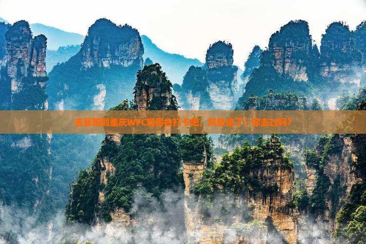 襄阳到重庆wfc观景台旅游