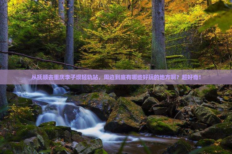 抚顺到重庆李子坝轻轨站哪里玩