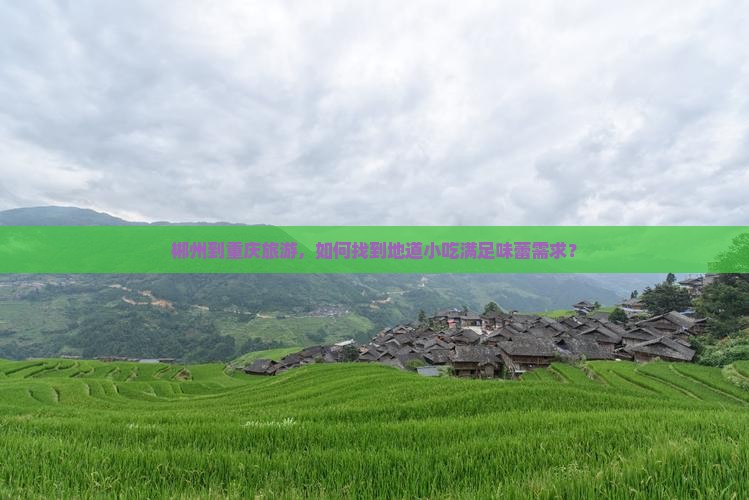郴州到重庆旅游小吃