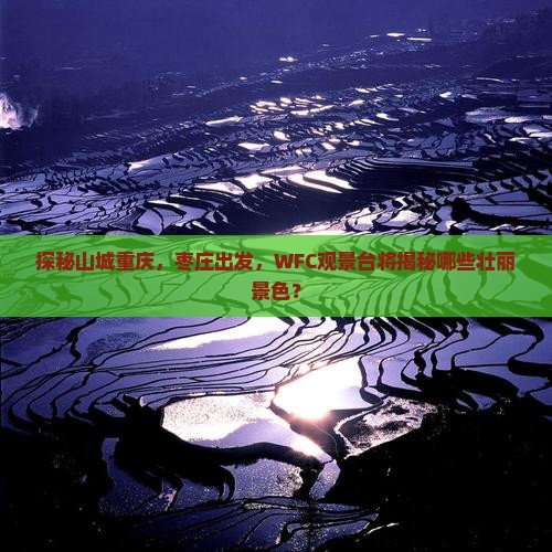 枣庄去重庆wfc观景台旅游