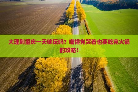 大理到重庆一日