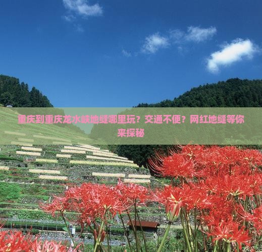 重庆到重庆龙水峡地缝哪里玩