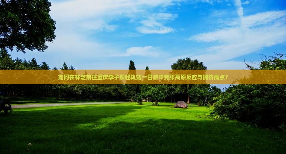 林芝去重庆李子坝轻轨站一日