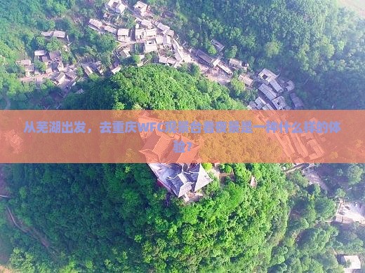 芜湖去重庆wfc观景台自由行