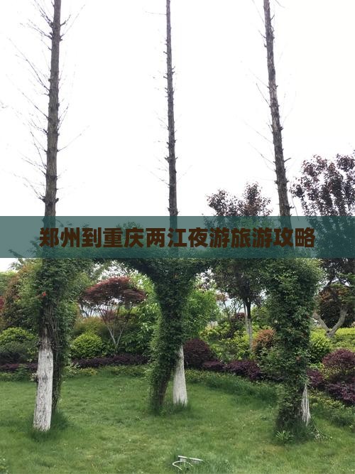 郑州去重庆两江夜游个人游