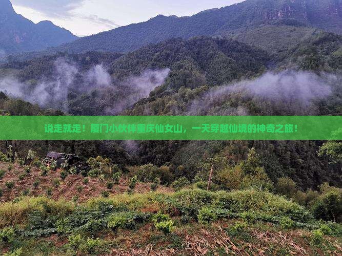 厦门去重庆仙女山一日