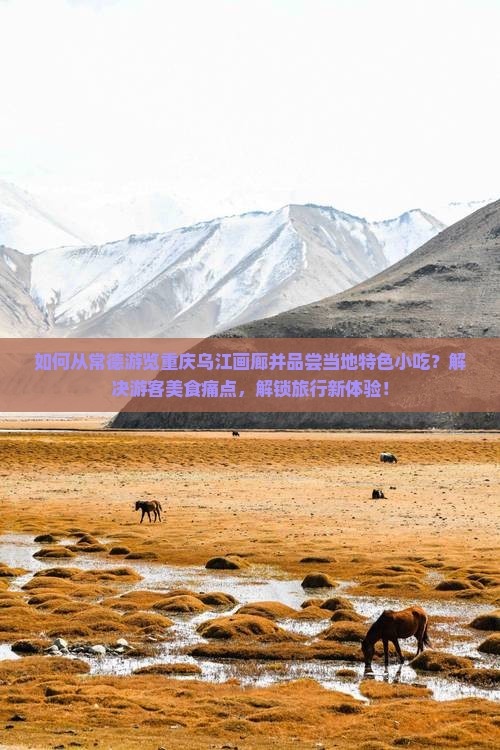常德到重庆乌江画廊旅游小吃