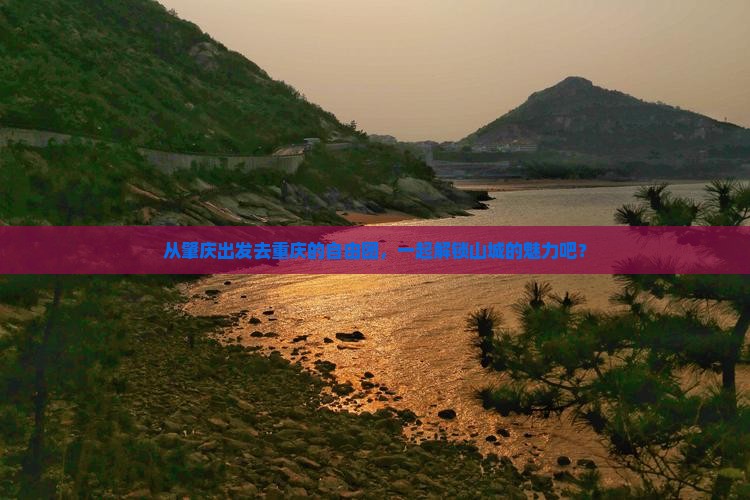 肇庆去重庆自由团