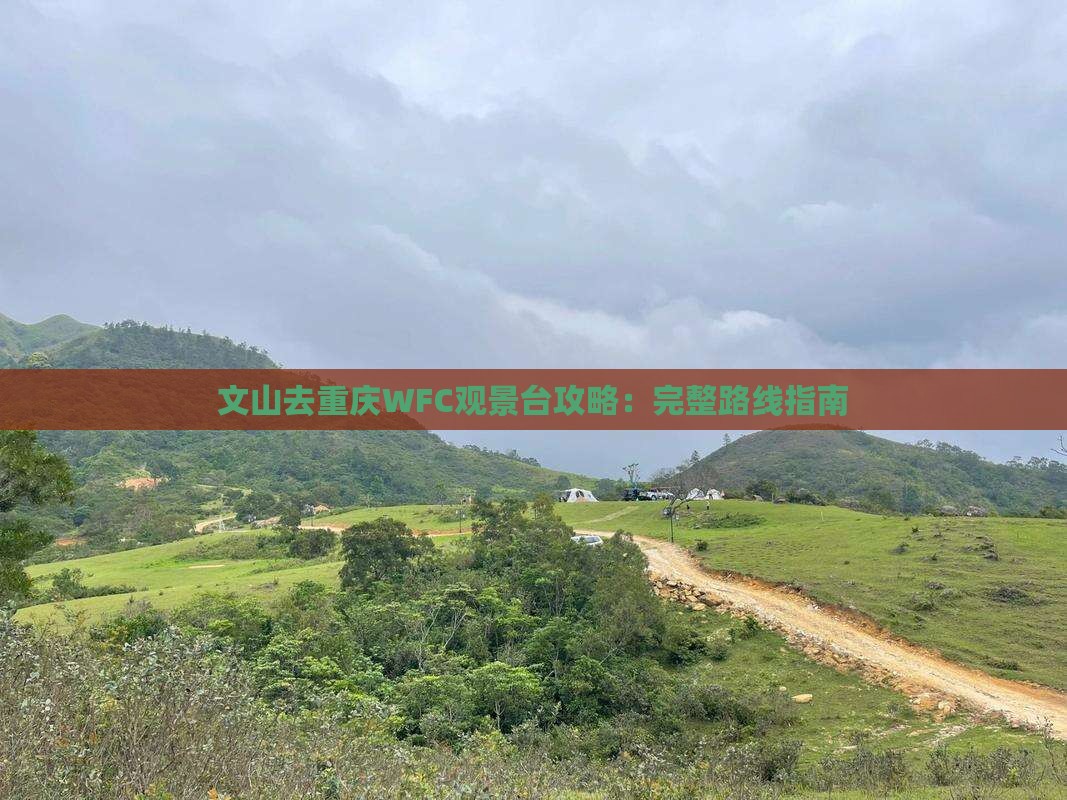 文山去重庆wfc观景台攻略