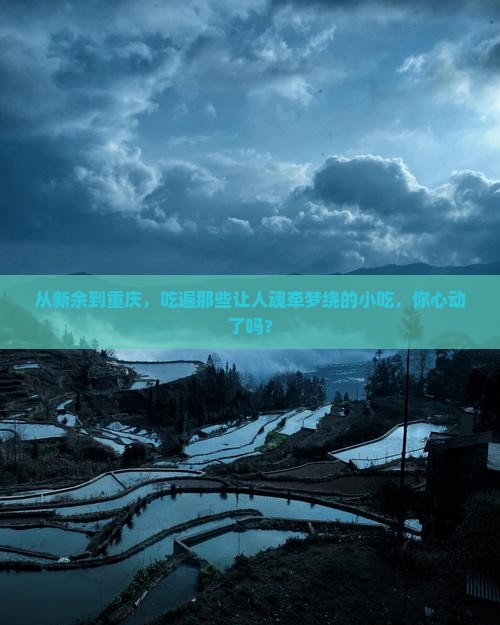 新余去重庆旅游小吃