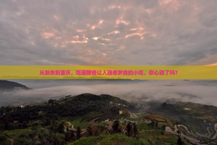 新余去重庆旅游小吃