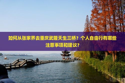 张家界去重庆武隆天生三桥个人游