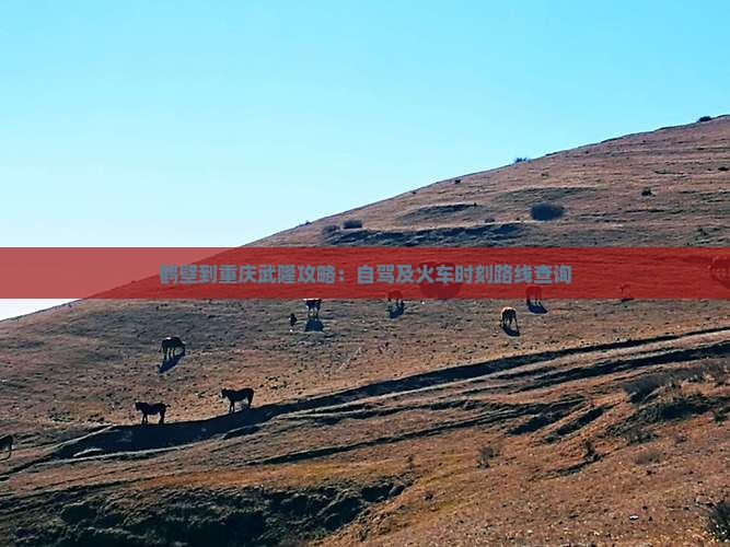 鹤壁到重庆武隆攻略