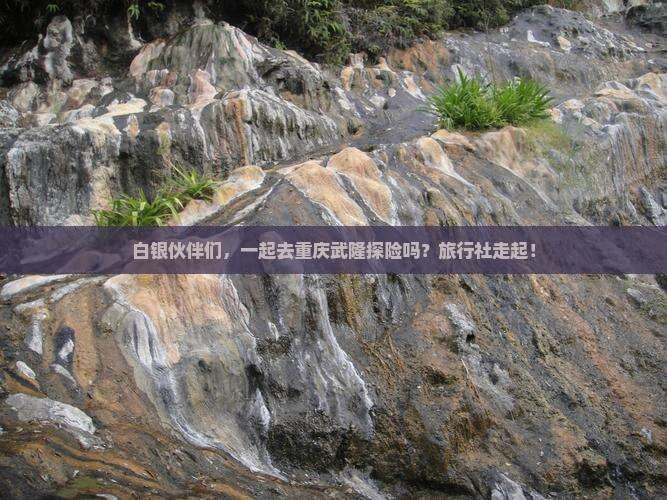 白银去重庆武隆旅行社