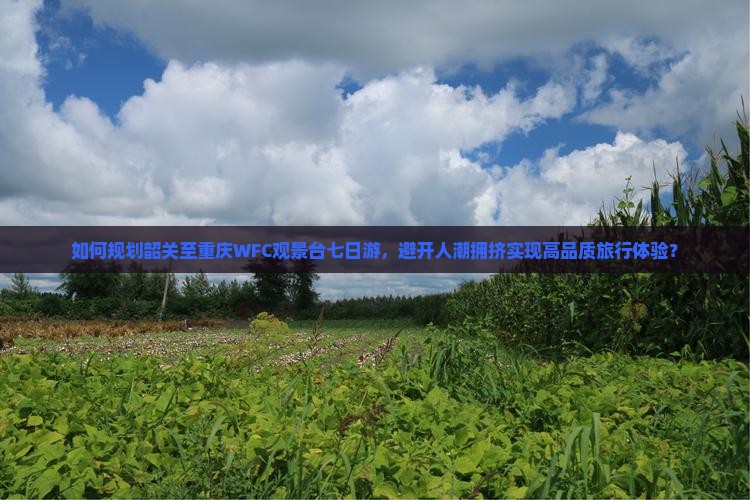 韶关去重庆wfc观景台七日游