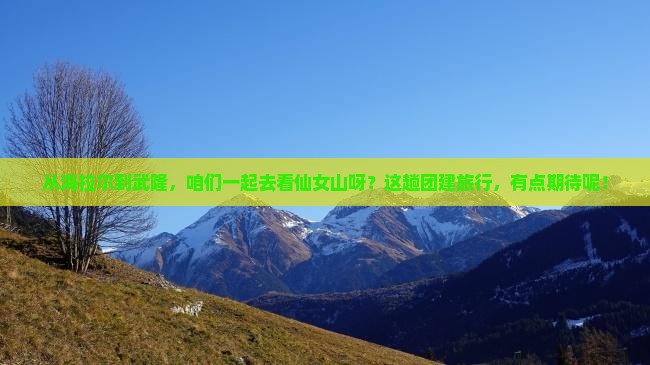 海拉尔去重庆武隆团体旅游