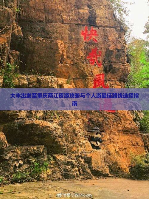 大丰到重庆两江夜游个人游