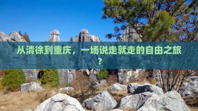 清徐去重庆自由团