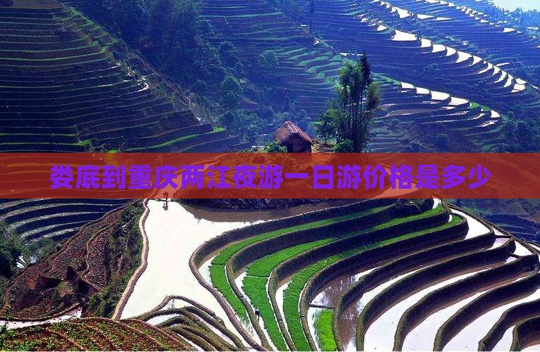 娄底到重庆两江夜游一日