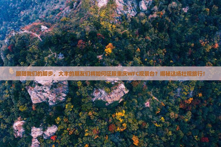 大丰去重庆wfc观景台大型旅游团