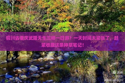 铜川去重庆武隆天生三桥一日