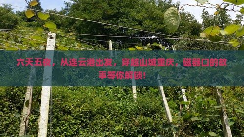 连云港到重庆磁器口六日游